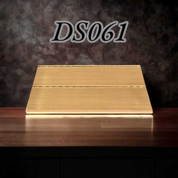 DS061 1